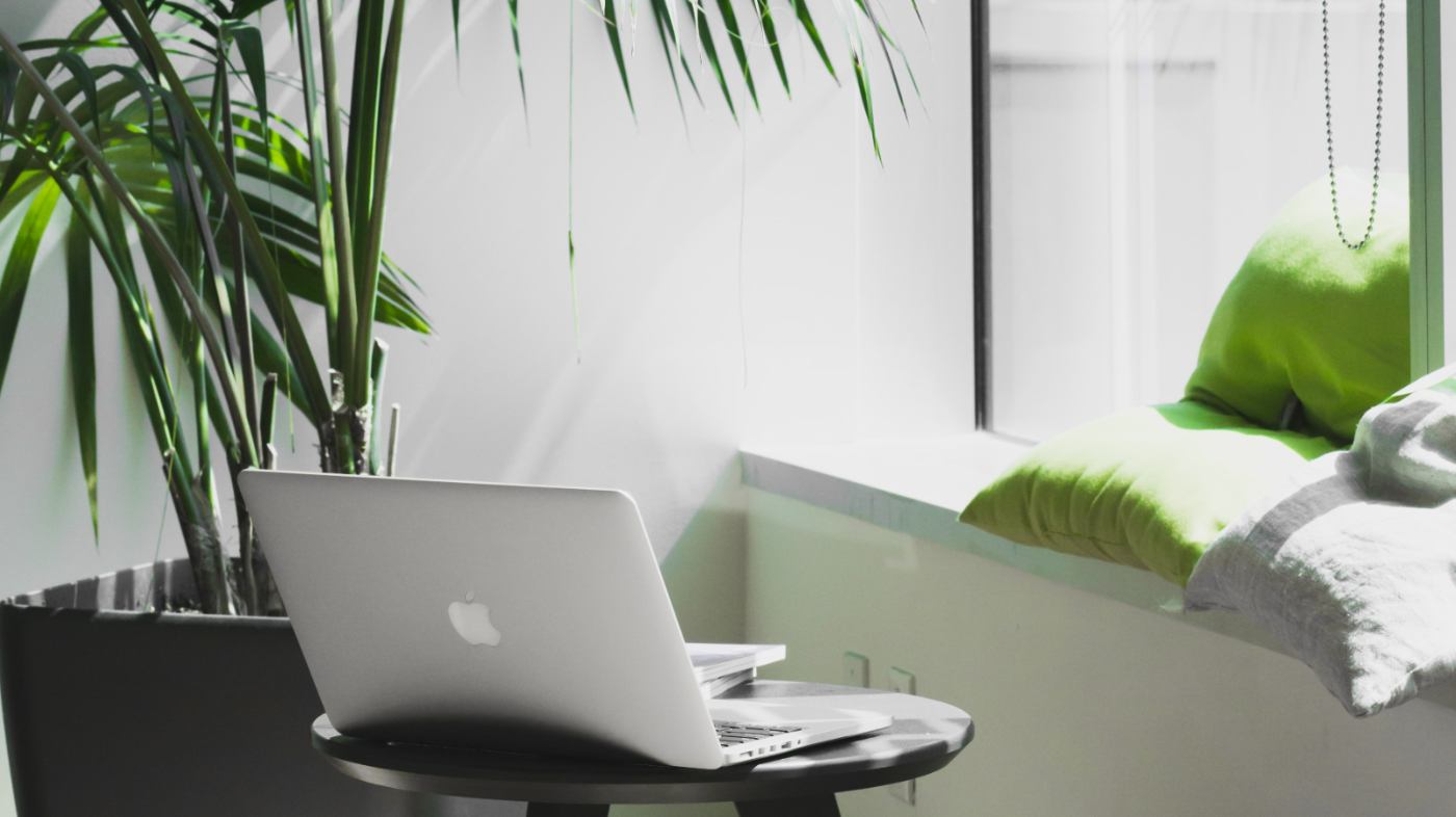 A cozy work corner with a palm tree, cushions and a laptop.